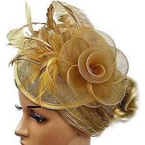 Just Arrived Fascinator Mesh Hat Feather Coffee